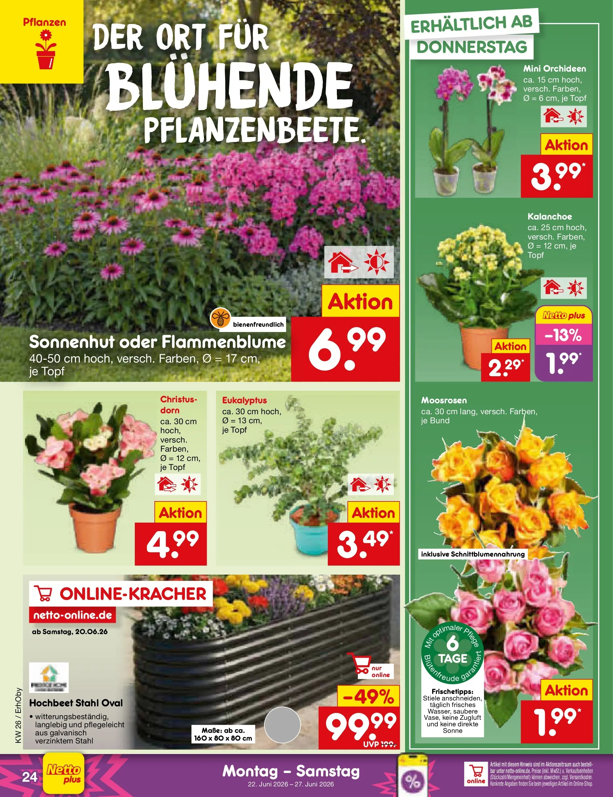 Netto Marken-Discount Prospekt Metten (ab 21.06.2026) » Angebote | Seite: 34 | Produkte: Hochbeet