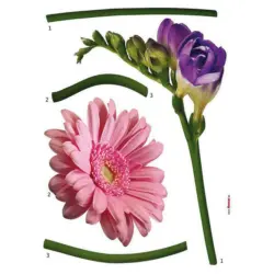 Dekosticker 50/70 cm
