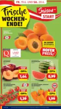 HOFER HOFER: Flugblatt - ab 19.06.2026