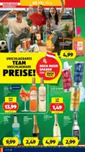 HOFER HOFER: Flugblatt - ab 19.06.2026
