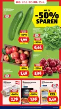 HOFER HOFER: Flugblatt - ab 19.06.2026