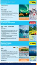 HOFER HOFER: Flugblatt - ab 19.06.2026