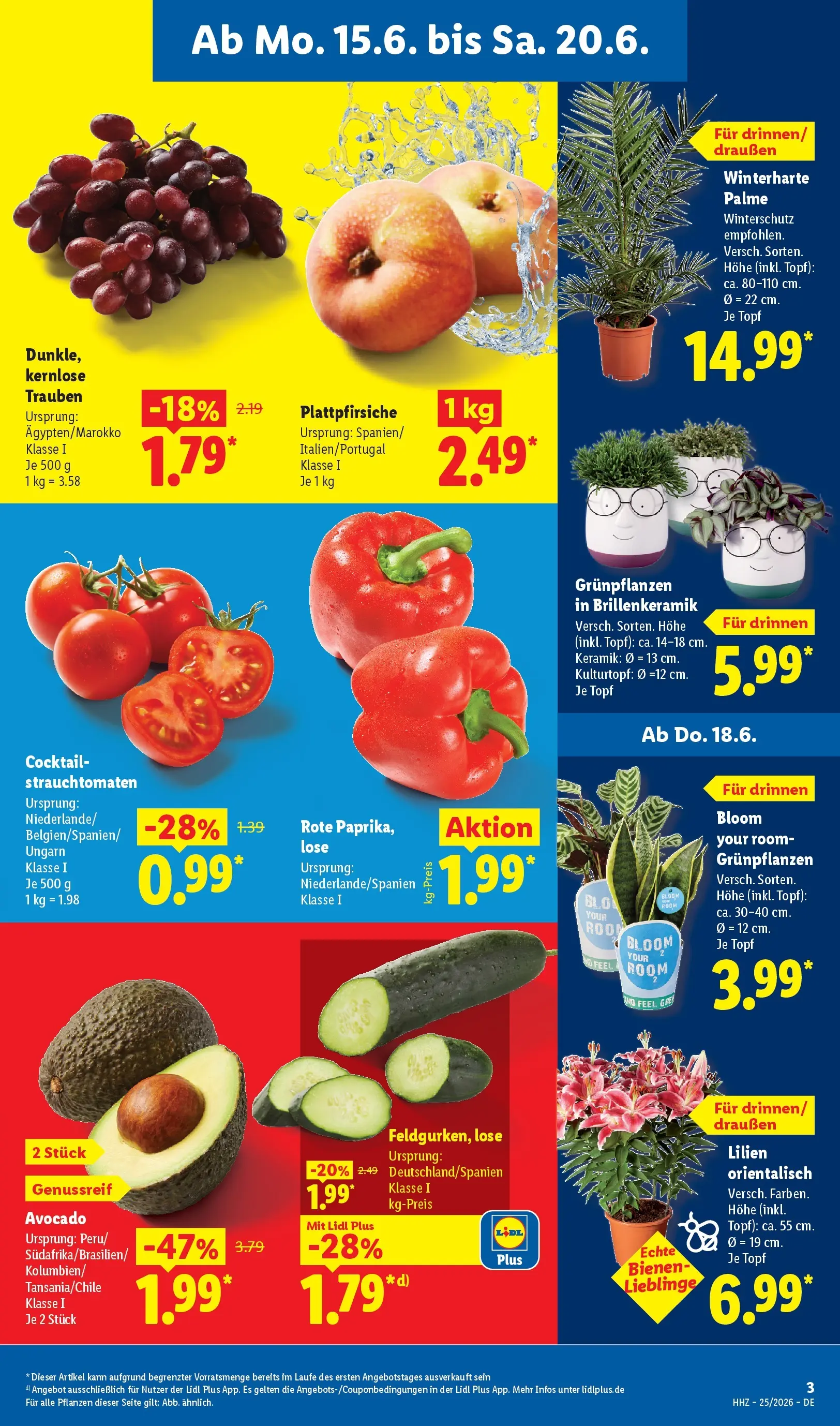 Lidl Prospekt Mahlow (ab 15.06.2026) zum Blättern » Angebote | Seite: 7 | Produkte: Bad
