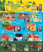 E center: Wochenangebote