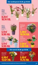 ЛИДЛ Фестивал от вкусове в ЛИДЛ с валидност до 28.06.2026 - от 22-06-26