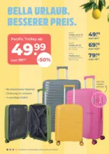 Ceka - travelite