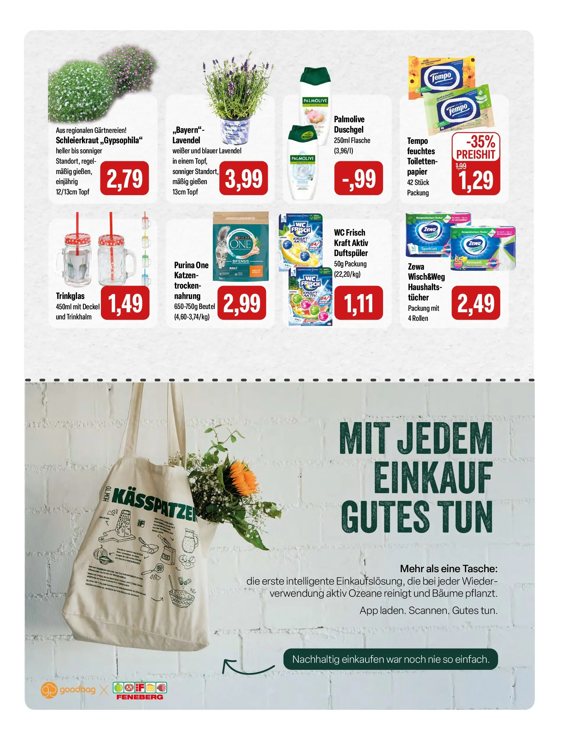 Feneberg Aktuelle Angebote (ab 24.06.2026) zum Blättern | Seite: 15 | Produkte: Tasche, Öl, Zewa, Lavendel