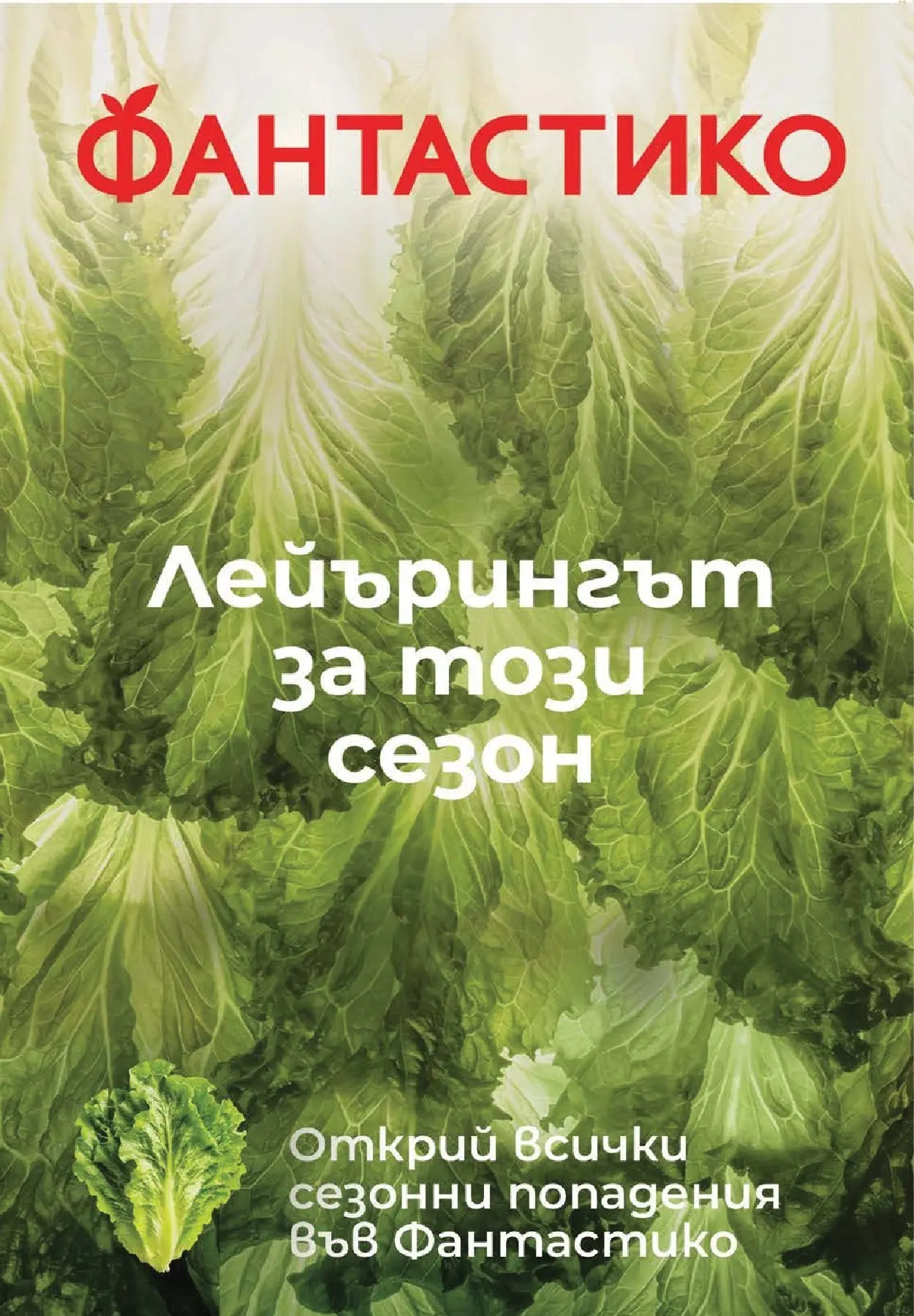 Фантастико брошура - Седмични предложения от 18.06.2026 | Страница: 12 Нова Фантастико брошура - Седмични предложения от 18.06.2026 | Страница: 12