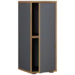 M&ouml;belix Aktenschrank Salia Anthrazit, Honigeiche B: 30 cm