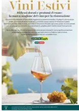Catalogo vini