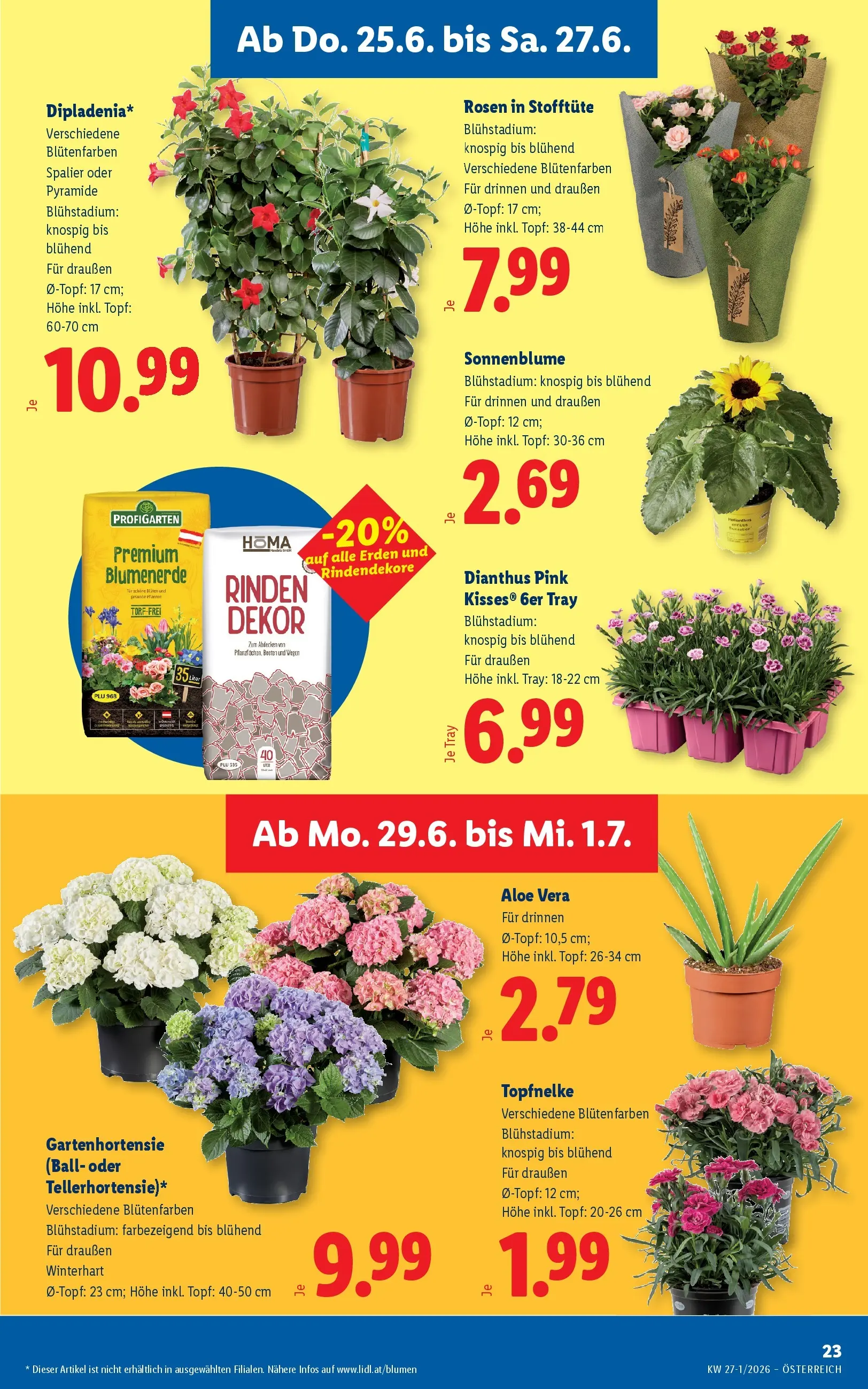 Lidl - Lidl ab 24.06.2026 - Angebote ab donnerstag | Seite: 27