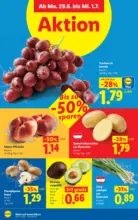 Lidl Lidl - ab 25.06.2026
