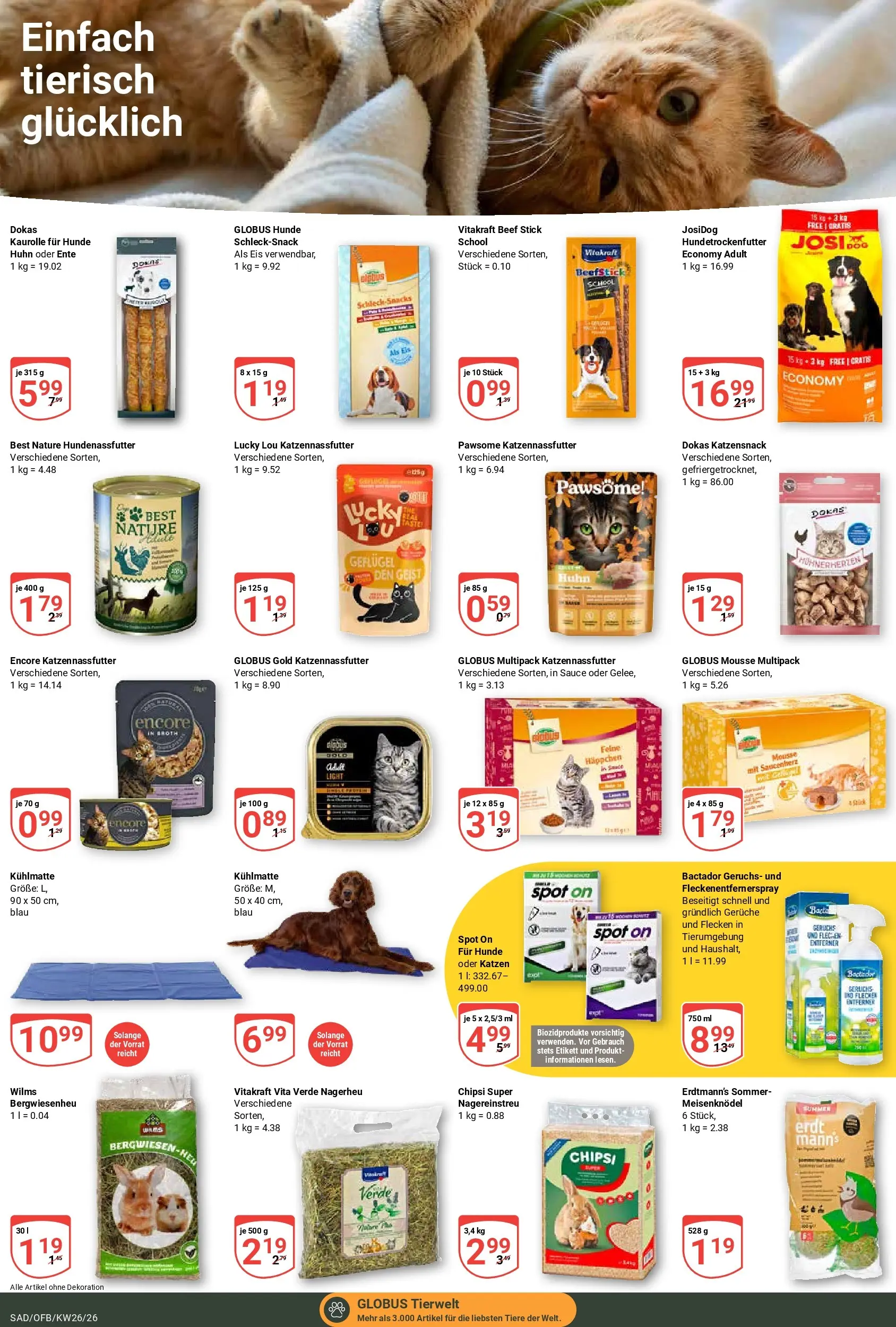 Globus Prospekt Schwandorf (ab 21.06.2026) » Angebote online | Seite: 17 | Produkte: Eis, Ente