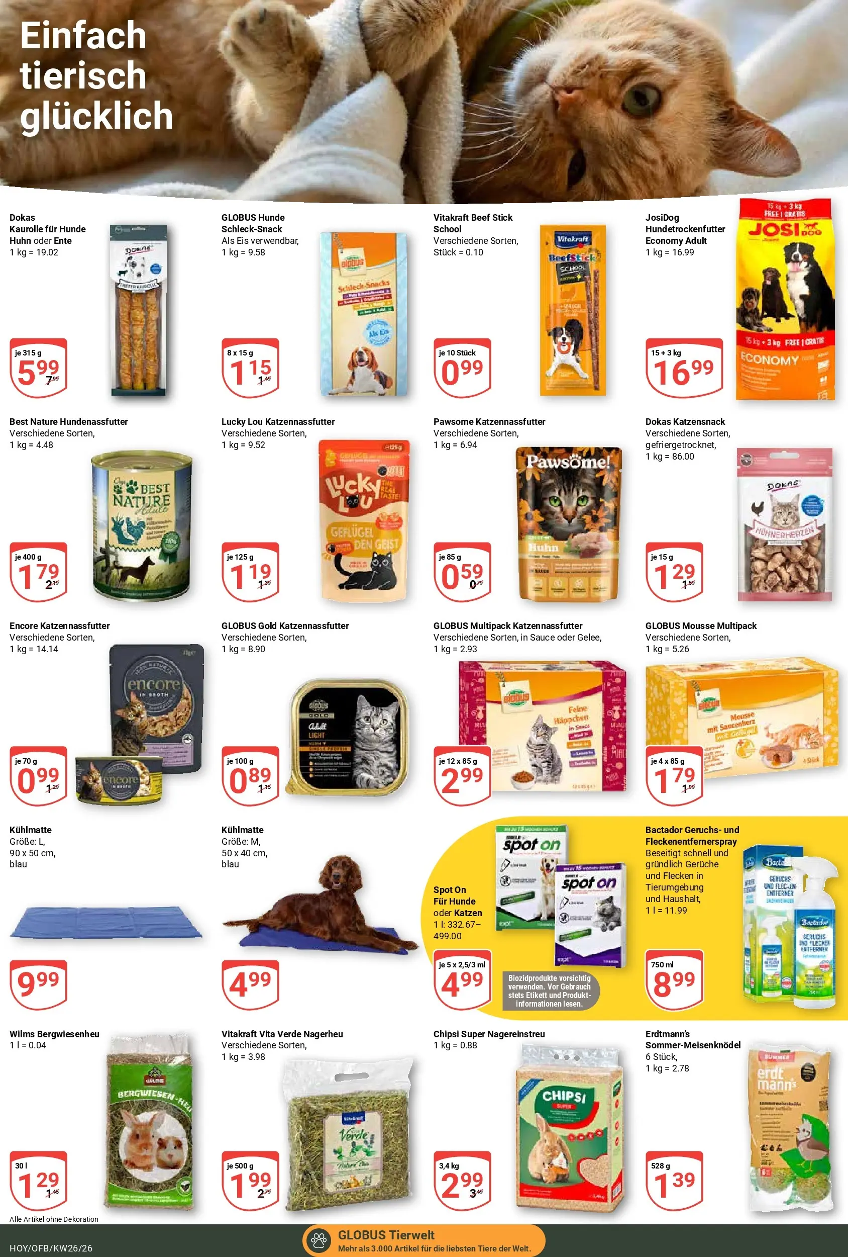 Globus Prospekt Hoyerswerda (ab 21.06.2026) » Angebote online | Seite: 21 | Produkte: Eis, Ente
