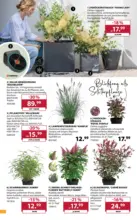 Dehner: Garten & Zoo