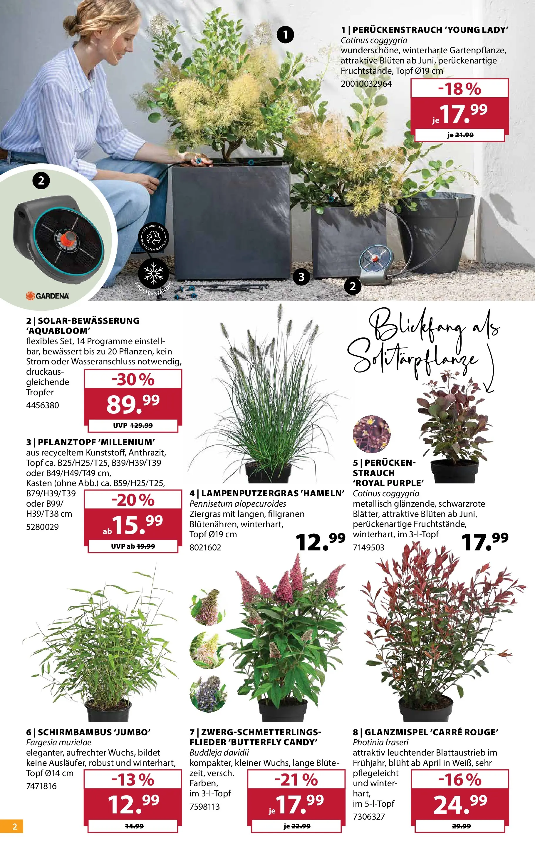 Dehner Garten & Zoo (ab 24.06.2026) zum Blättern | Seite: 2