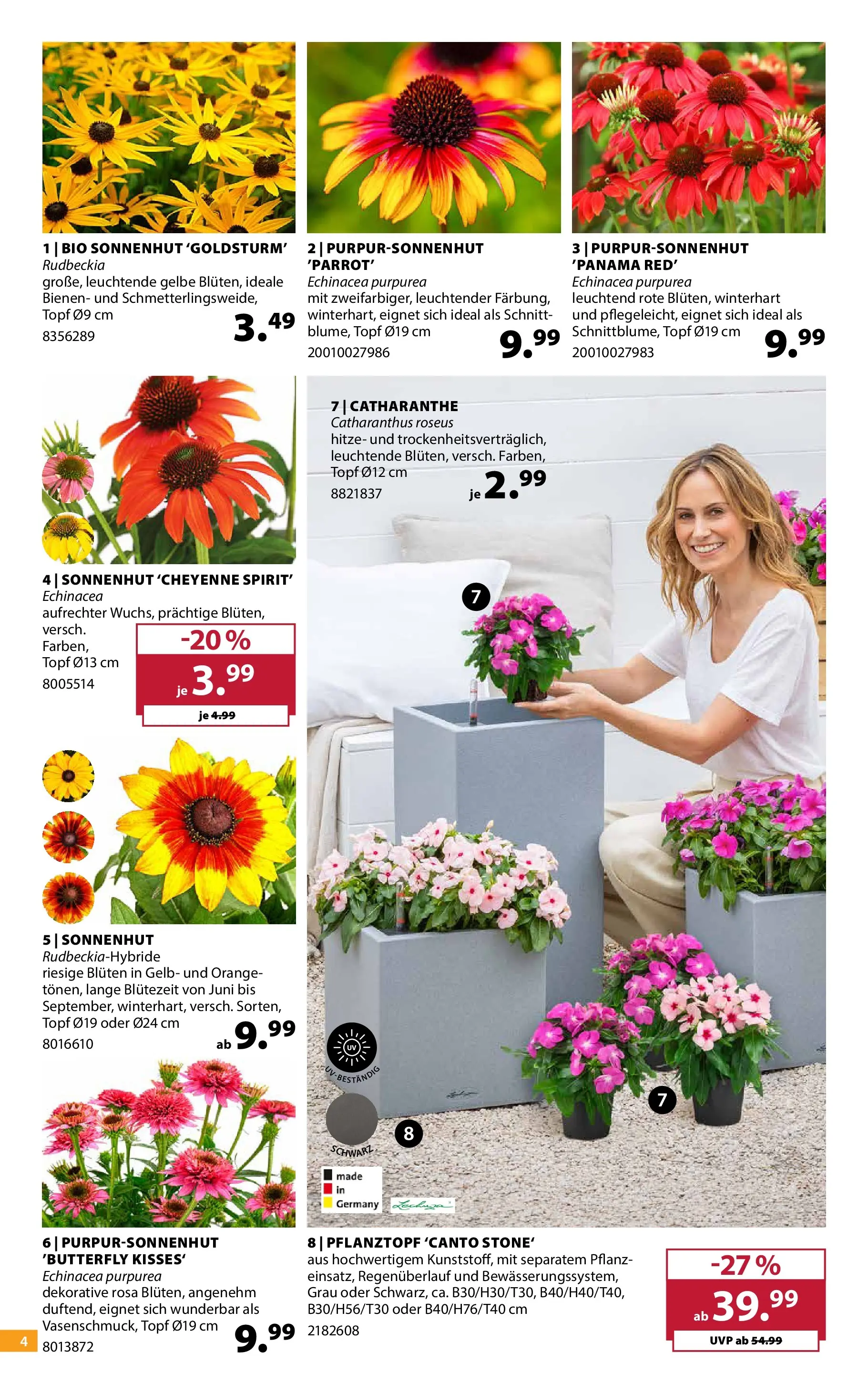 Dehner Garten & Zoo (ab 24.06.2026) zum Blättern | Seite: 4