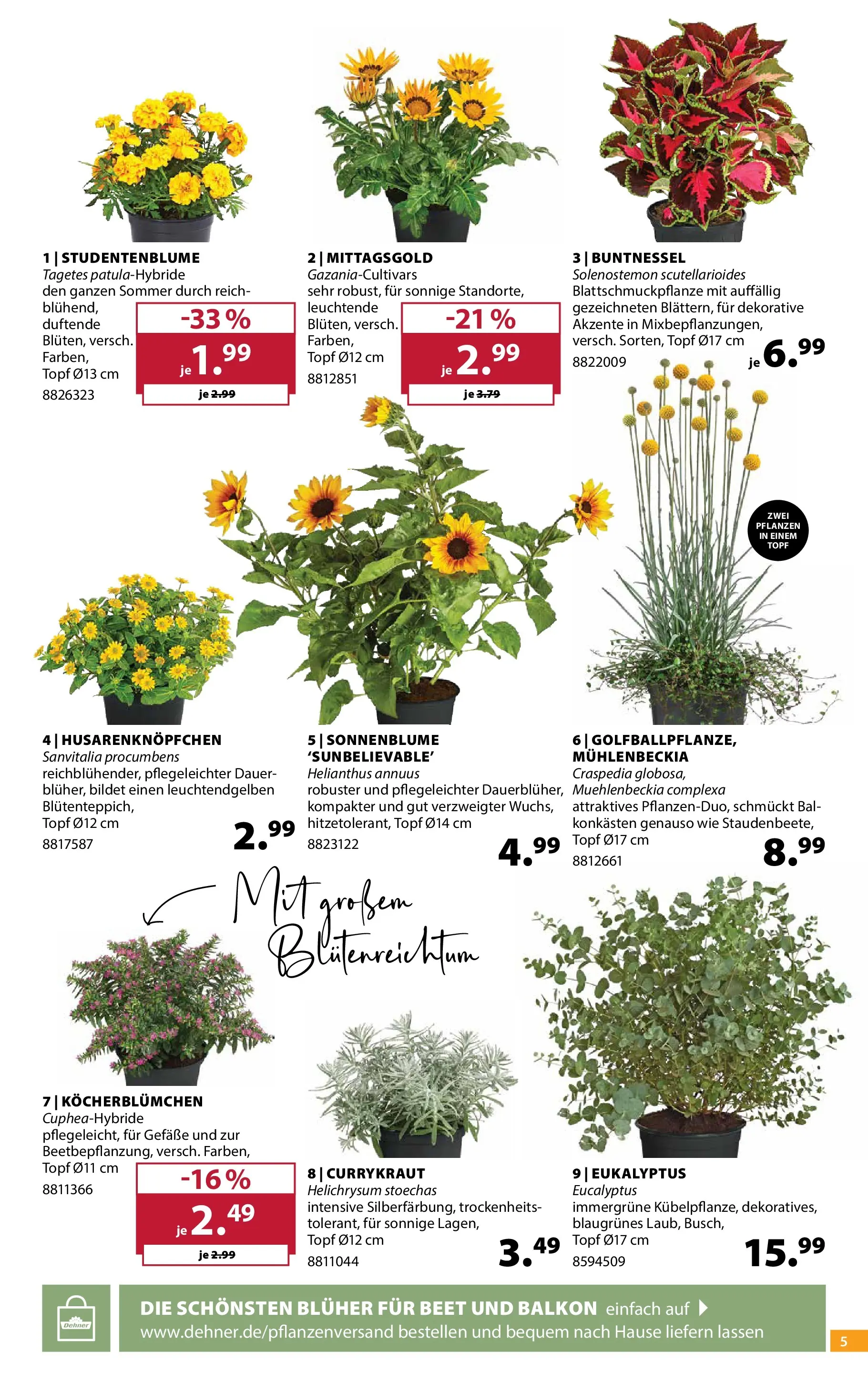 Dehner Garten & Zoo (ab 24.06.2026) zum Blättern | Seite: 5