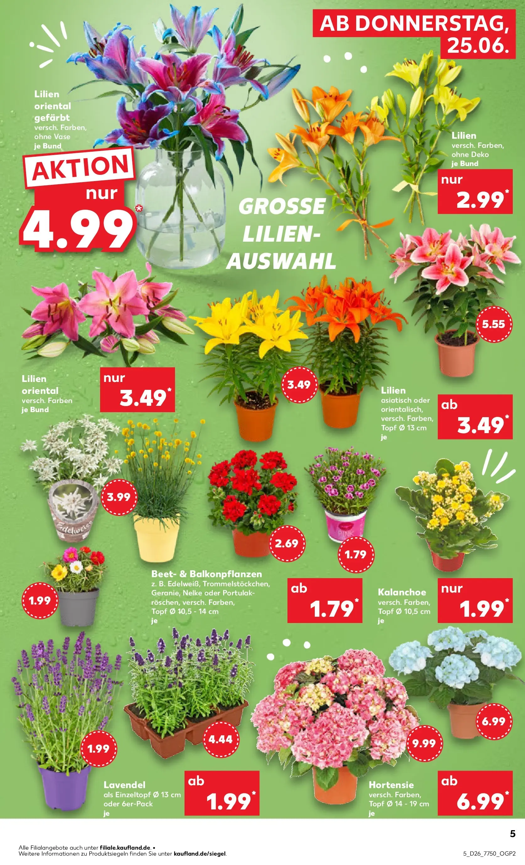 Prospekt Kaufland ab 22.06.2026 ยป Angebote und Werbung Online | Seite: 14 Prospekt Kaufland ab 22.06.2026 ยป Angebote Online zum Blรคttern | Seite: 14