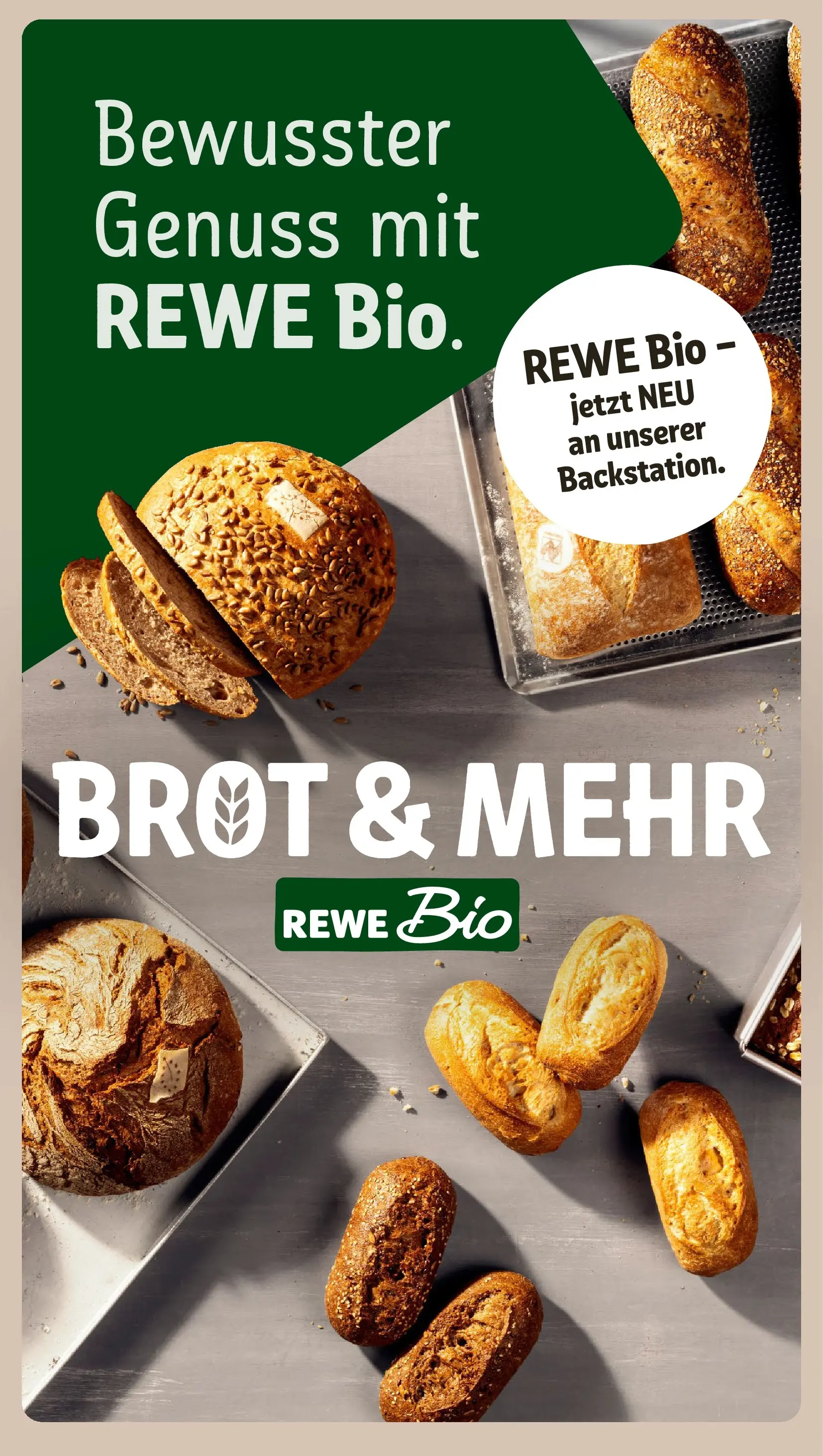 REWE Prospekt ab 21.06.2026 zum Blättern » Angebote | Seite: 15