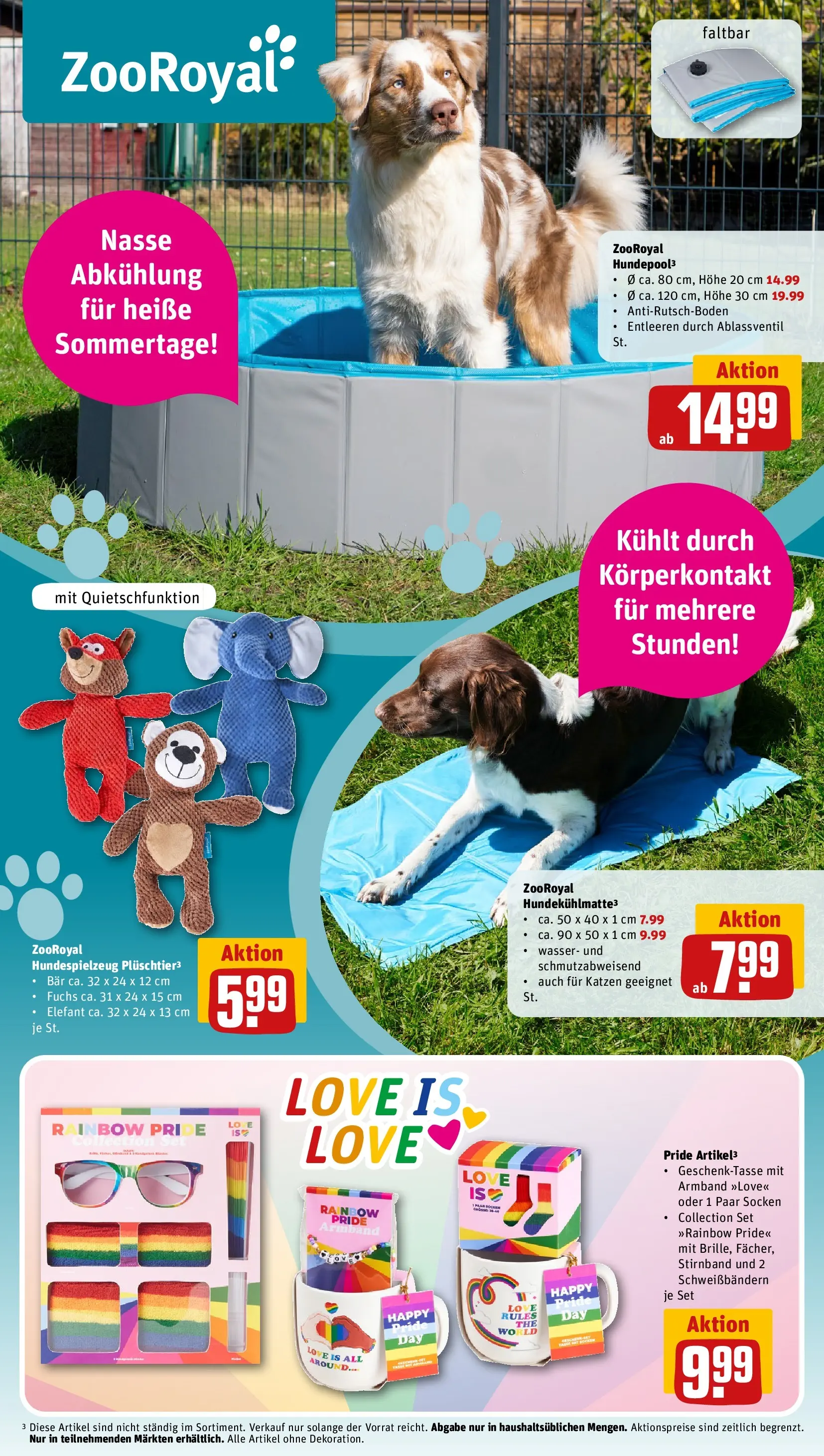 REWE Prospekt ab 21.06.2026 zum Blättern » Angebote | Seite: 31