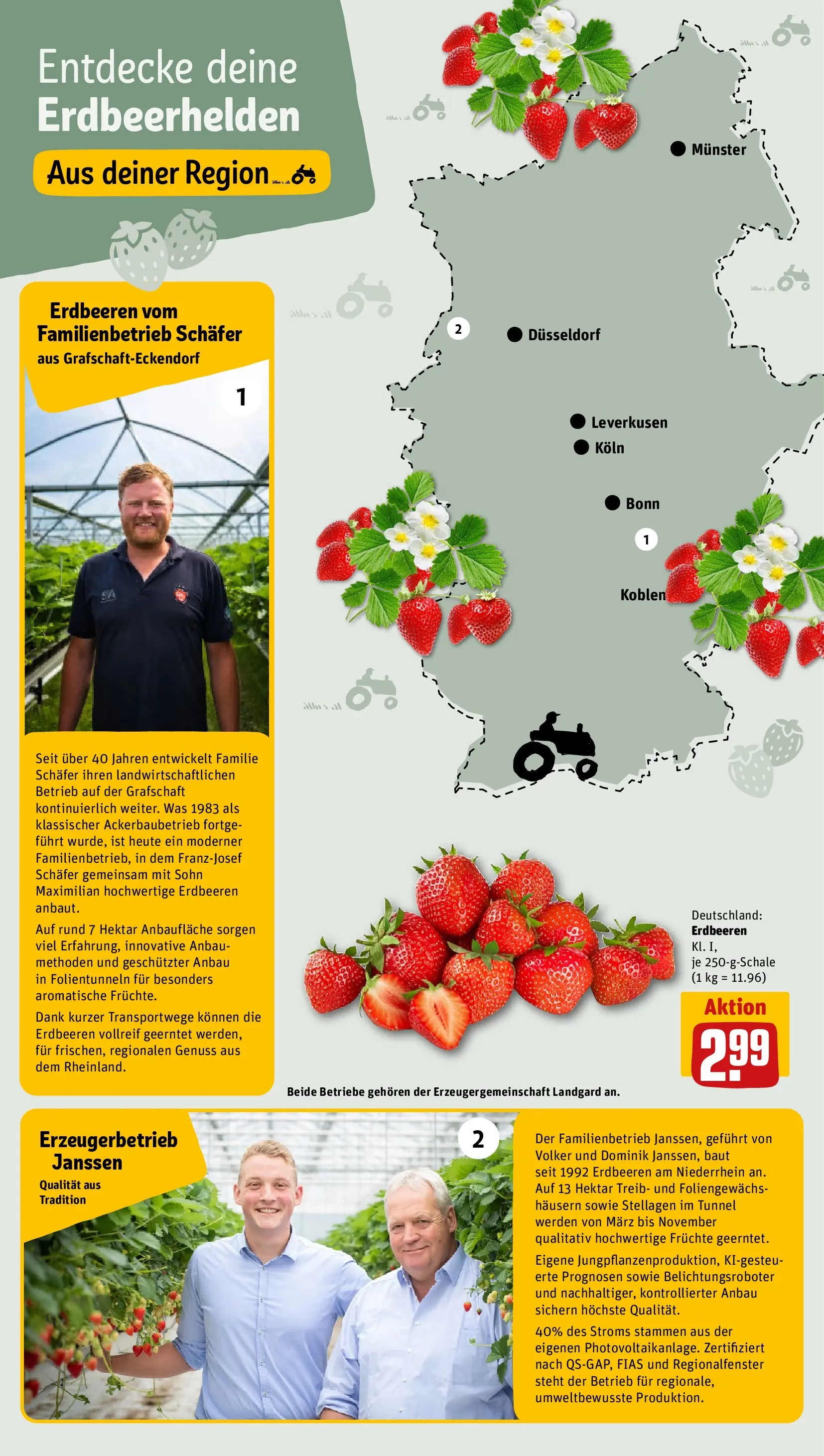 REWE Prospekt ab 21.06.2026 zum Blättern » Angebote | Seite: 23