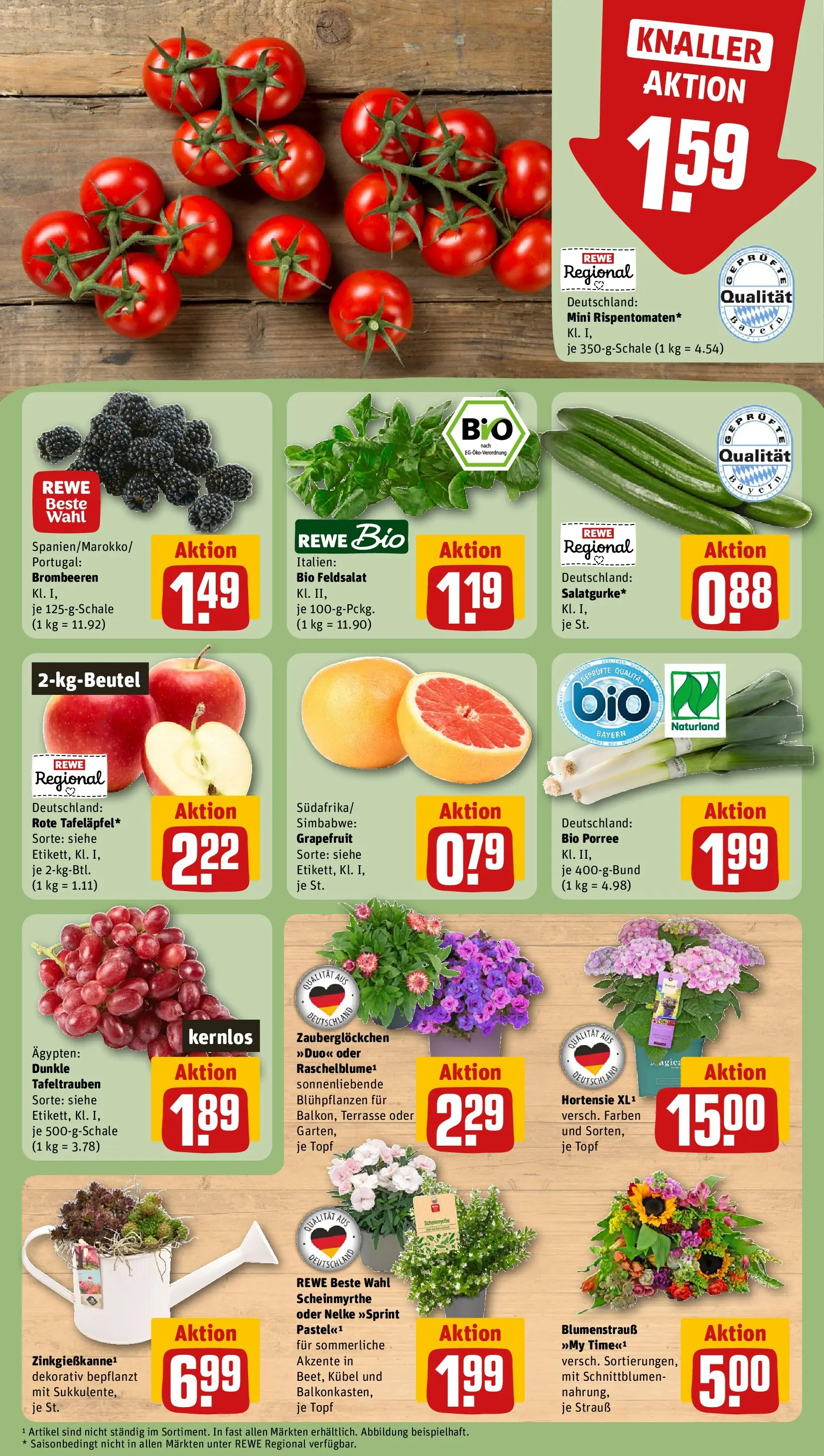 REWE Prospekt ab 22.06.2026 zum Blättern » Angebote | Seite: 9 | Produkte: Hortensie, Grapefruit
