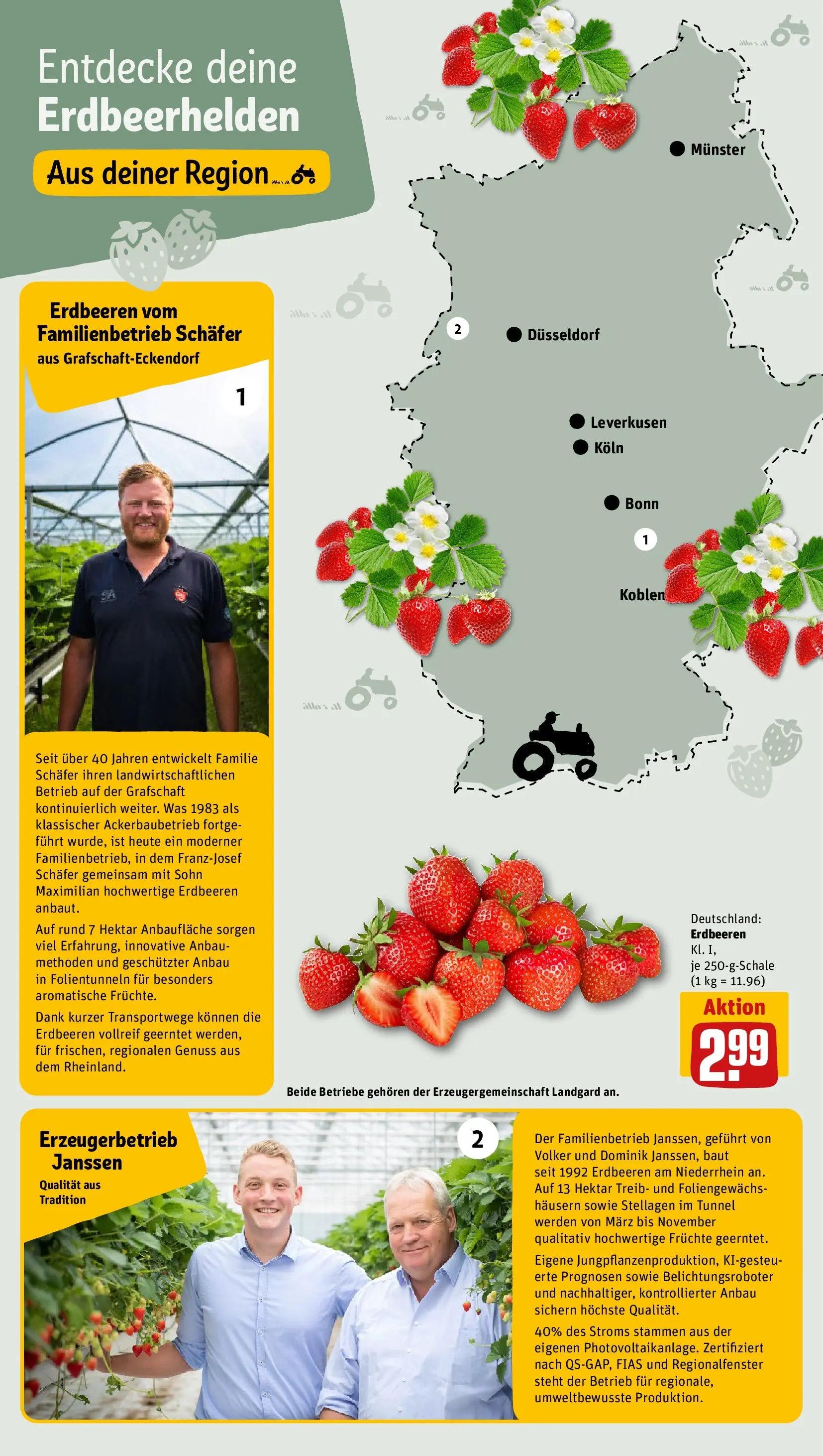 REWE Prospekt ab 21.06.2026 zum Blättern » Angebote | Seite: 19
