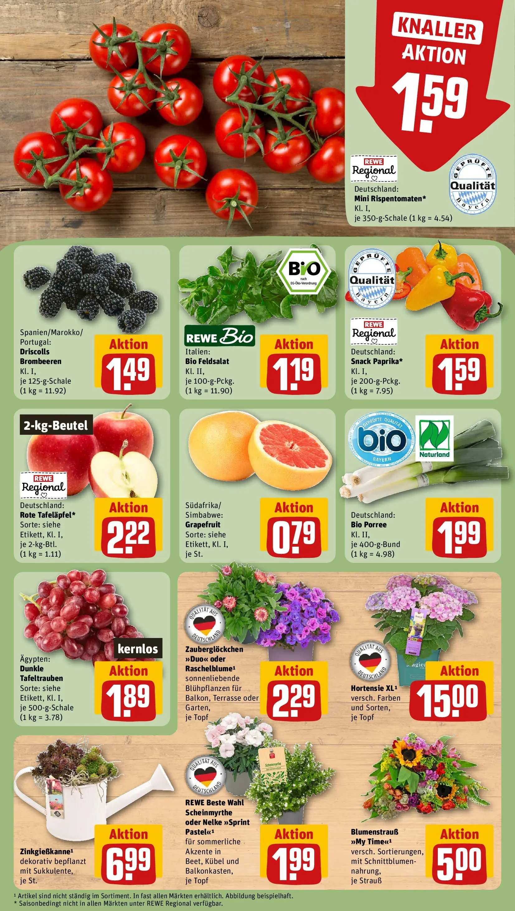 REWE Prospekt ab 21.06.2026 zum Blättern » Angebote | Seite: 9 | Produkte: Hortensie, Grapefruit