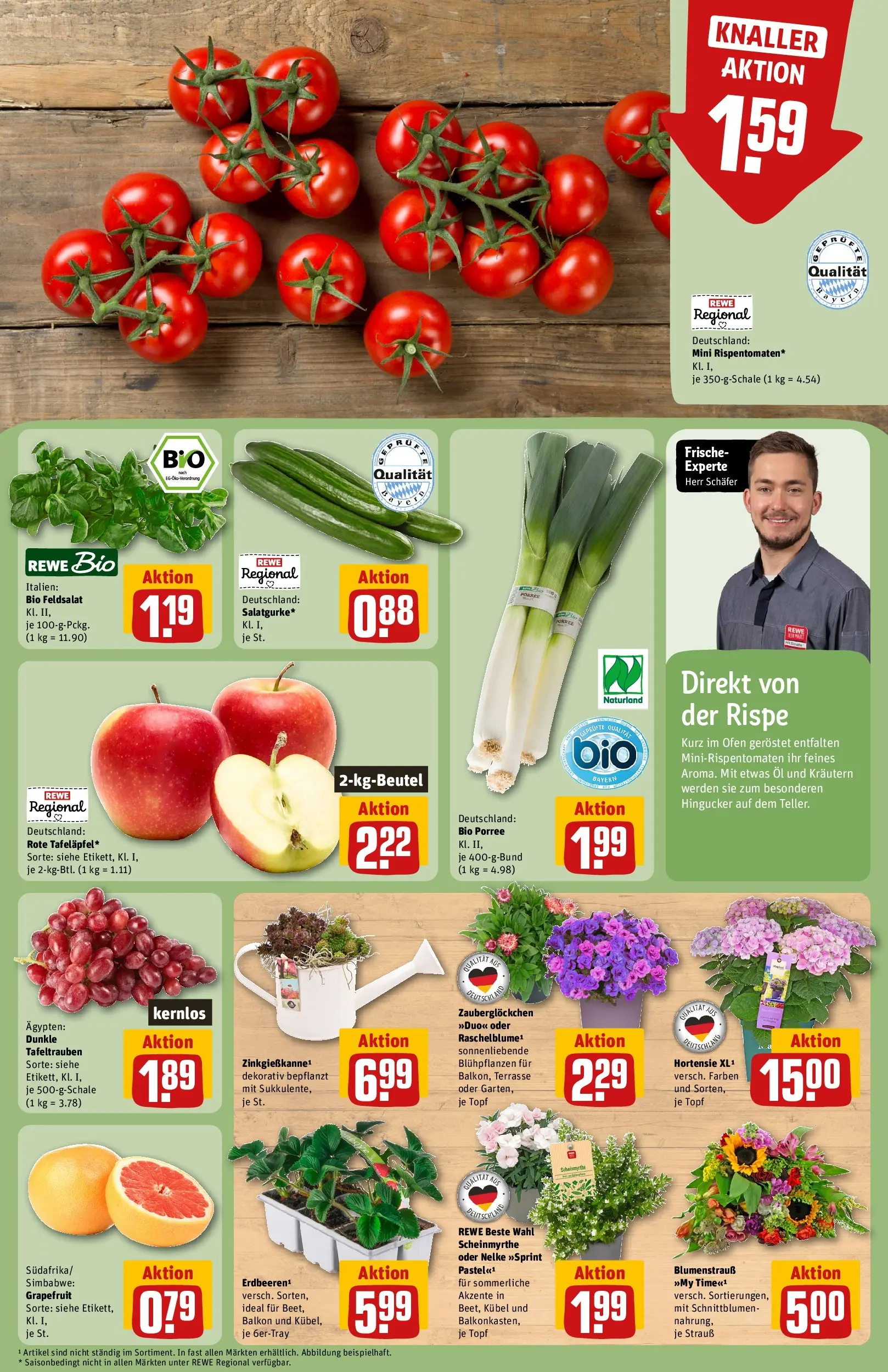 REWE Prospekt ab 21.06.2026 zum Blättern » Angebote | Seite: 9 | Produkte: Ofen, Öl, Tomaten, Grapefruit