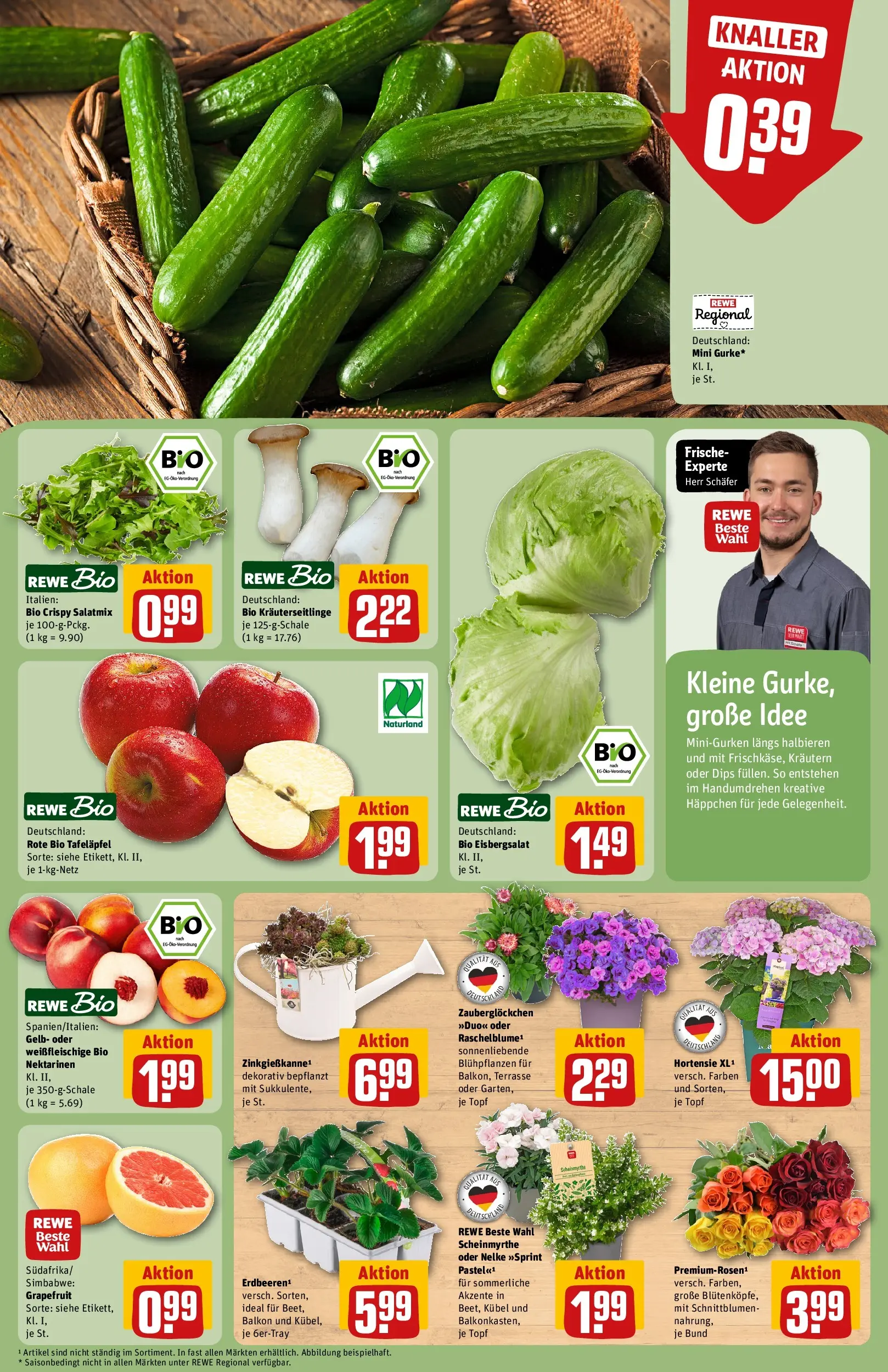 REWE Prospekt ab 21.06.2026 zum Blättern » Angebote | Seite: 9