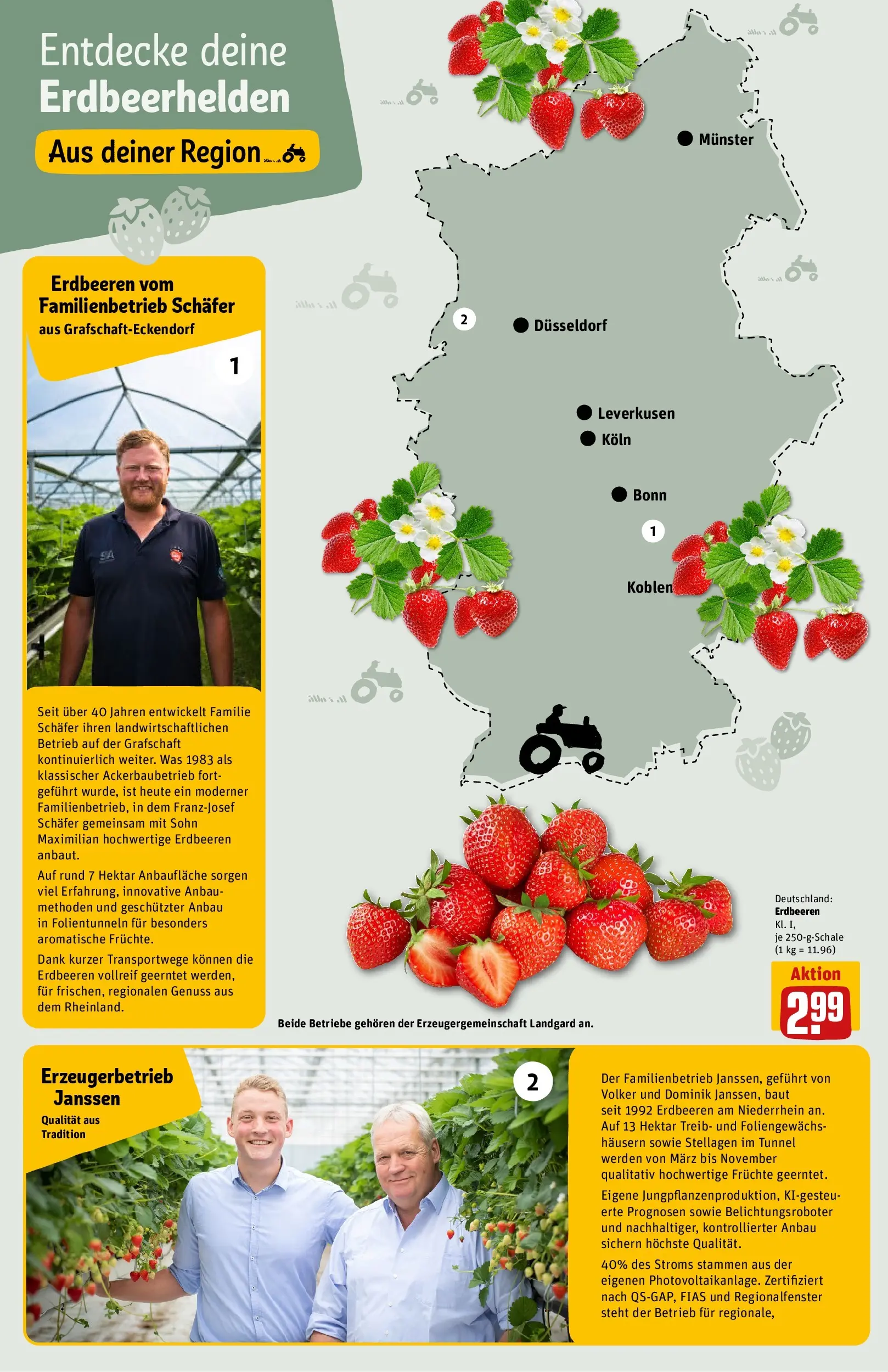 REWE Prospekt ab 21.06.2026 zum Blättern » Angebote | Seite: 23