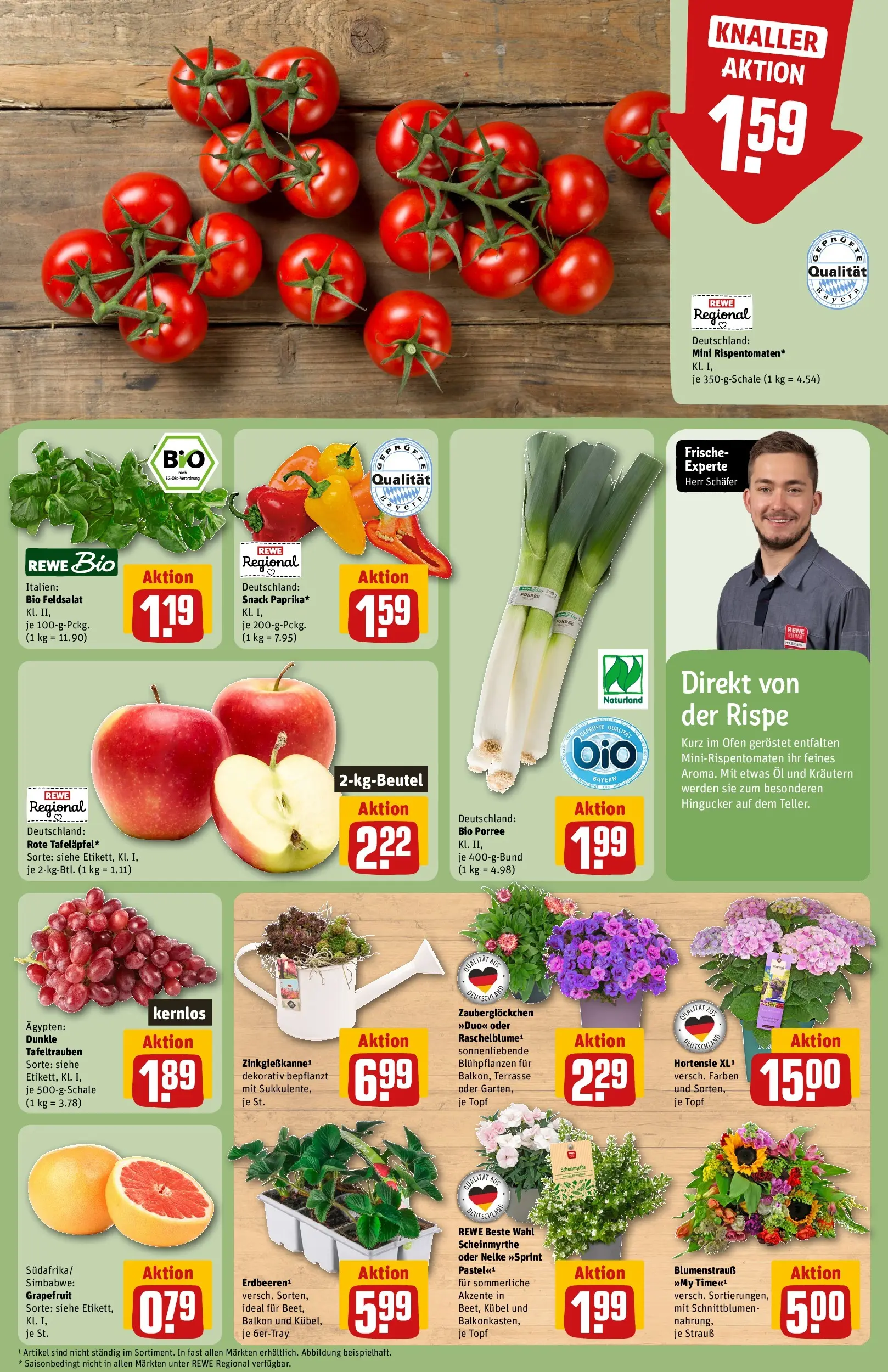 REWE Prospekt ab 21.06.2026 zum Blättern » Angebote | Seite: 9 | Produkte: Ofen, Hortensie, Öl, Grapefruit