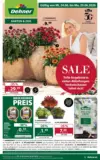 Dehner: Garten & Zoo