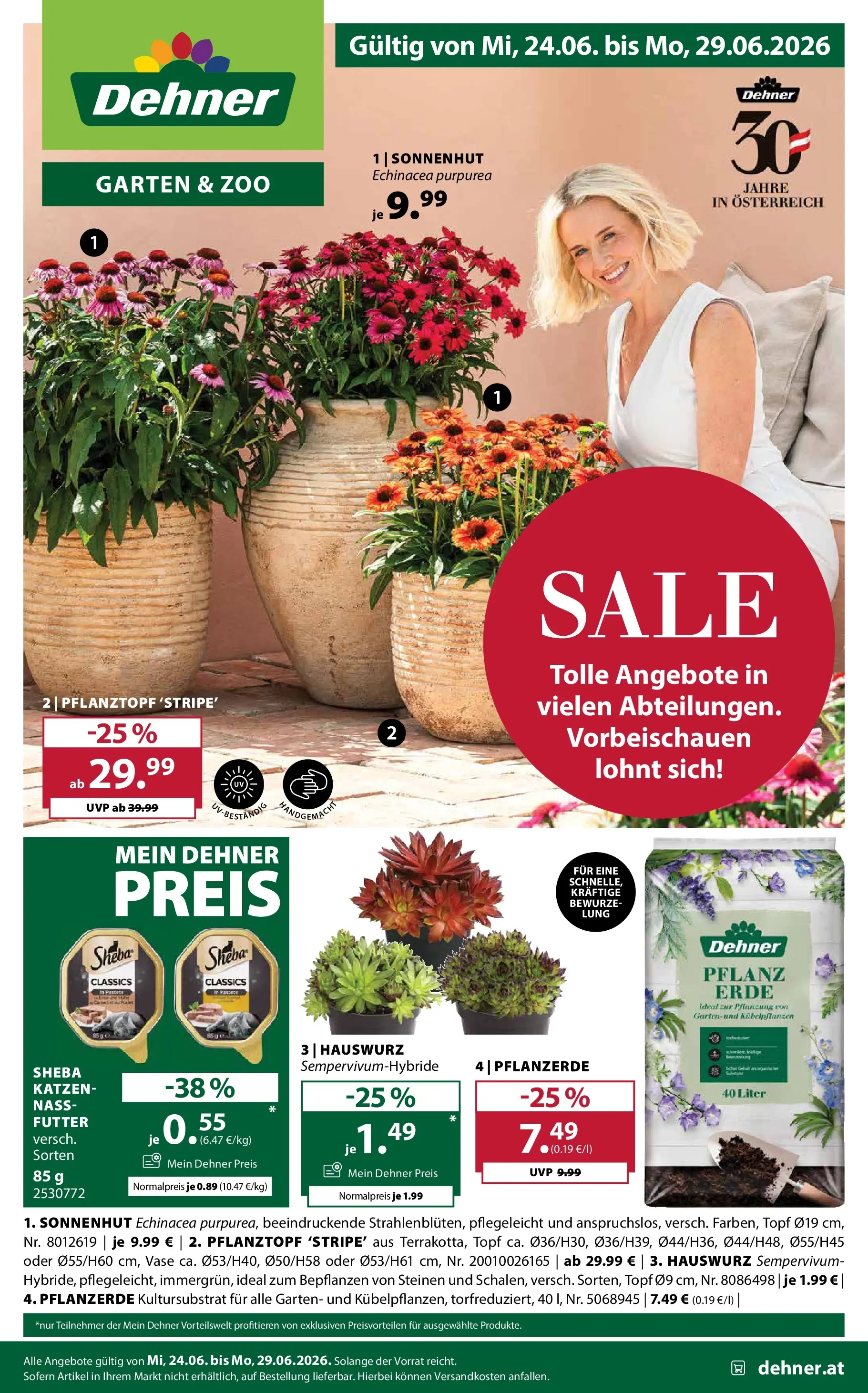 Dehner - Dehner: Garten & Zoo von 23.06.2026 - Aktuelle Angebote | Seite: 1 | Produkte: Vase