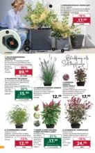 Dehner Hohenems Dehner: Garten & Zoo - bis 29.06.2026