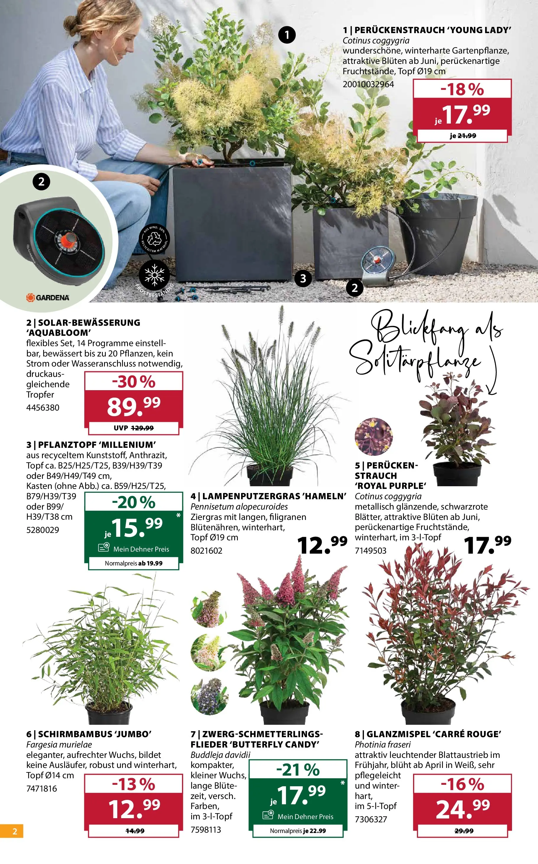 Dehner - Dehner: Garten & Zoo von 23.06.2026 - Aktuelle Angebote | Seite: 2
