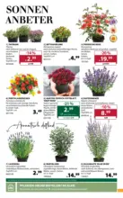Dehner Hohenems Dehner: Garten & Zoo - bis 29.06.2026