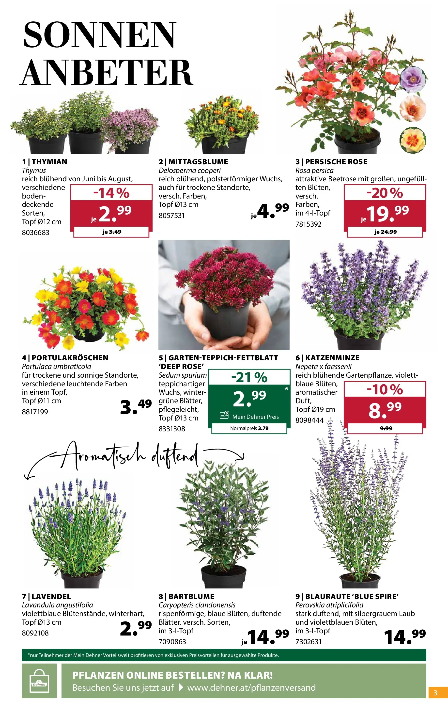 Dehner - Dehner: Garten & Zoo von 23.06.2026 - Aktuelle Angebote | Seite: 3 | Produkte: Duft
