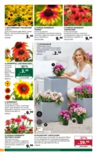 Dehner Hohenems Dehner: Garten & Zoo - bis 29.06.2026