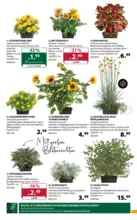 Dehner Hohenems Dehner: Garten & Zoo - bis 29.06.2026