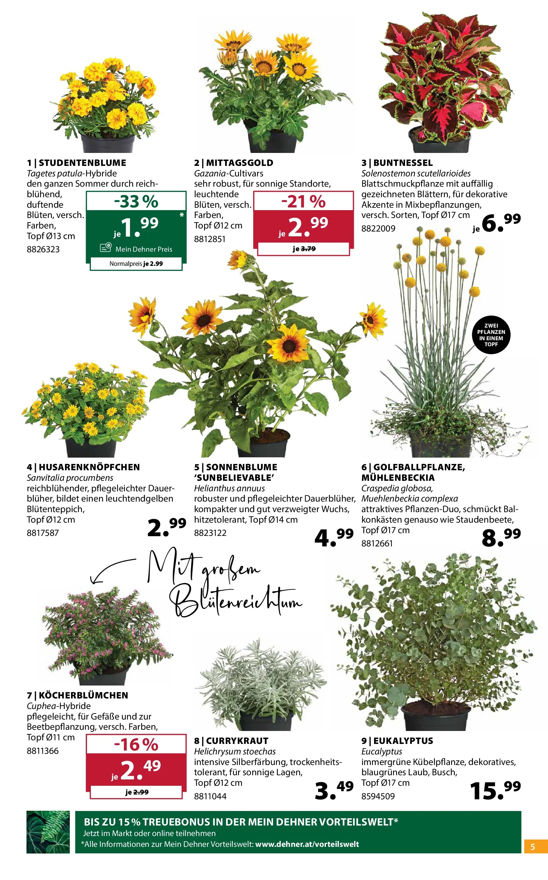 Dehner - Dehner: Garten & Zoo von 23.06.2026 - Aktuelle Angebote | Seite: 5