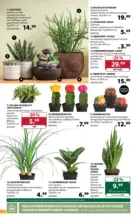 Dehner Hohenems Dehner: Garten & Zoo - bis 29.06.2026