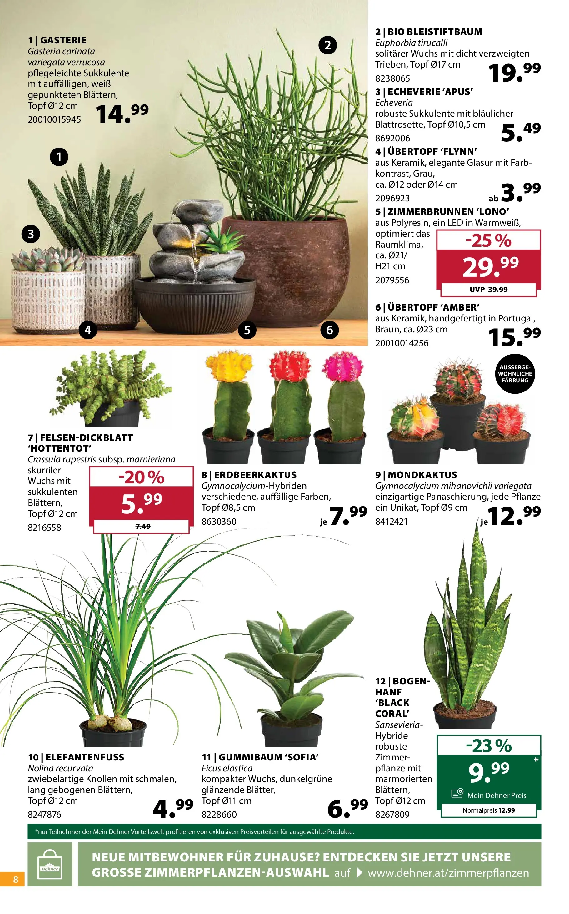 Dehner - Dehner: Garten & Zoo von 23.06.2026 - Aktuelle Angebote | Seite: 8
