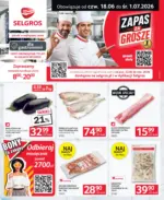 Oferta dla gastronomii Selgros &ndash; do 01.07.2026