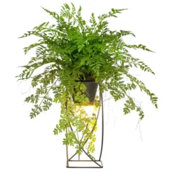 Kunstpflanze Farnmix Gr&uuml;n/Schwarz ca. 60cm