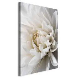Leinwandbild White Dahlia Wei&szlig;/Grau ca. 80x120x1,2cm