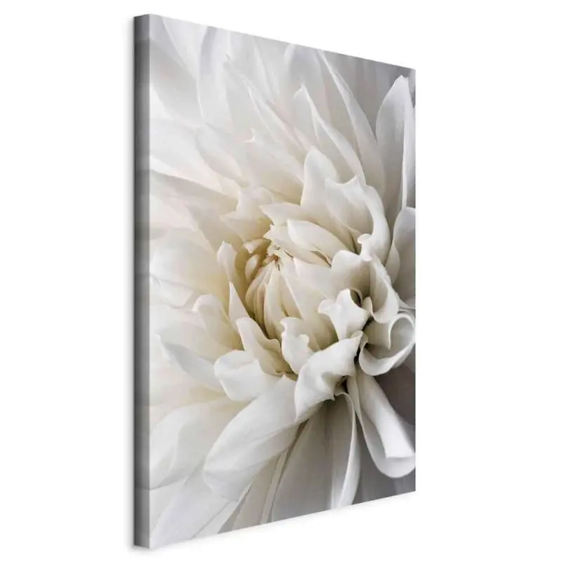 Leinwandbild White Dahlia Wei&szlig;/Grau ca. 80x120x1,2cm