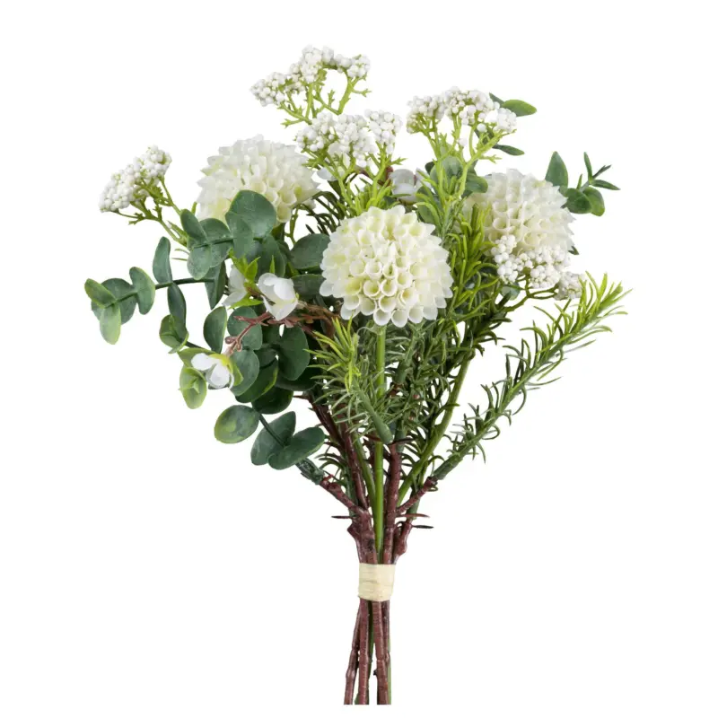 Dhalia Pompondhalienbund II Gr&uuml;n/Wei&szlig; ca. 30cm