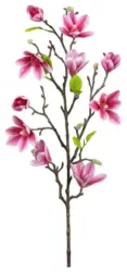 Magnolie Pink ca. 83cm